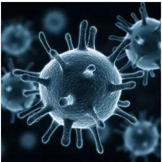 Macromicros launches hepatitis A virus nucleic acid detection kit 